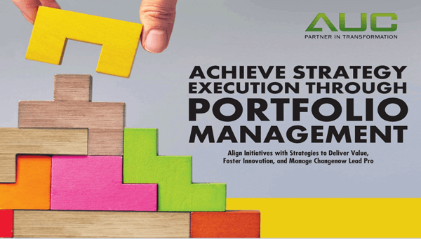 achieve-strategy-execution-through-portfolio-management