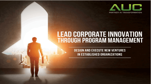 lead-corporate-innovation-through-program-management